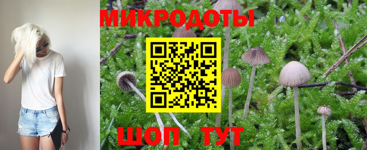 Котлас  Псилоцибиновые грибы ЛСД  Галлюциногенные грибы GOLDEN TEACHER  цены наркотик  Вход с VPN 